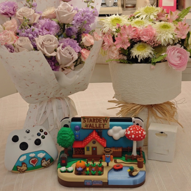 Switch Dock Stardew Valley Far - đánh giá và giá Gaming Console In